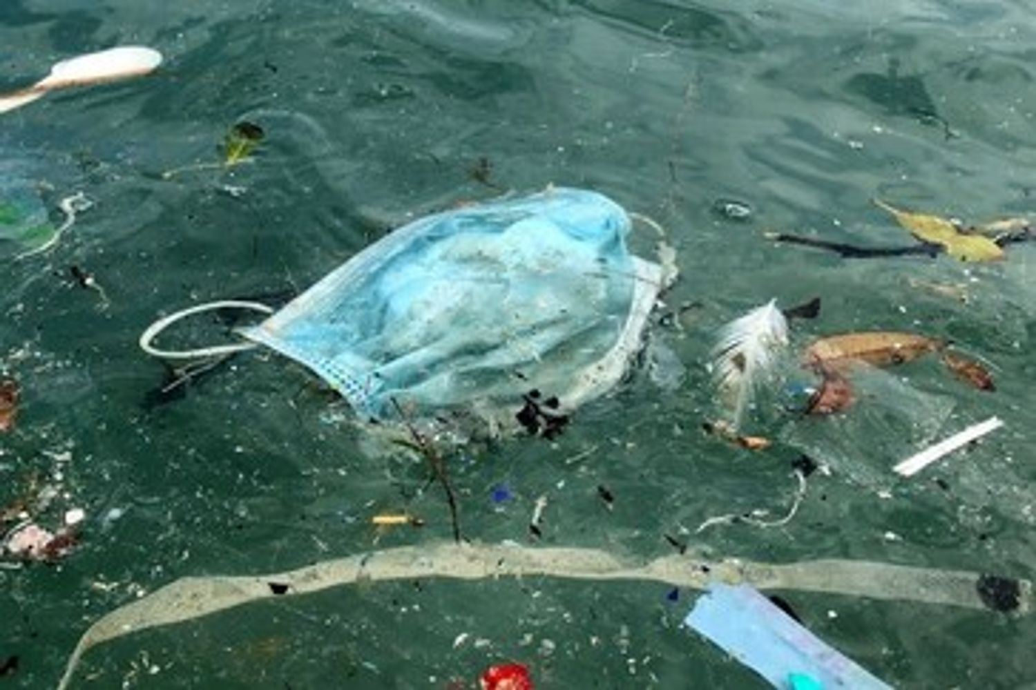 Una mascherina finita in mare