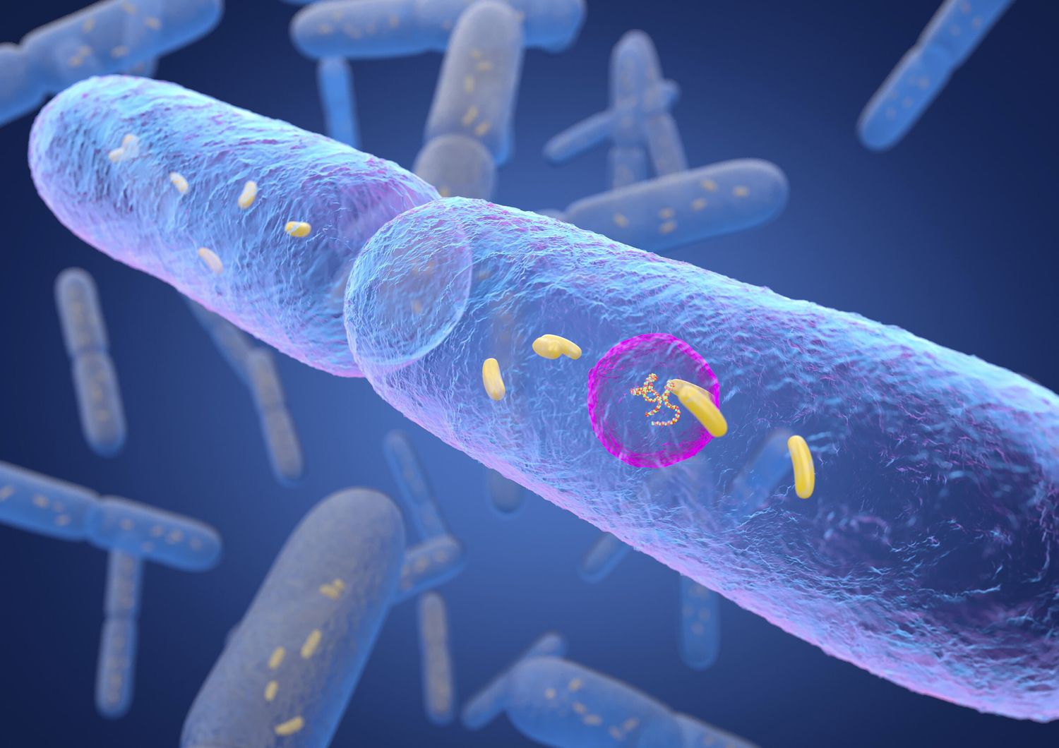 Una colonia di batteri in un'illustrazione compurizzata