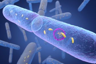 Una colonia di batteri in un'illustrazione compurizzata