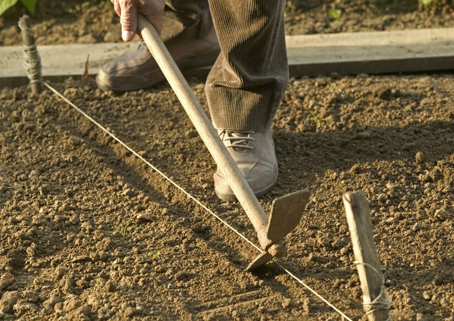 Un bracciante al lavoro