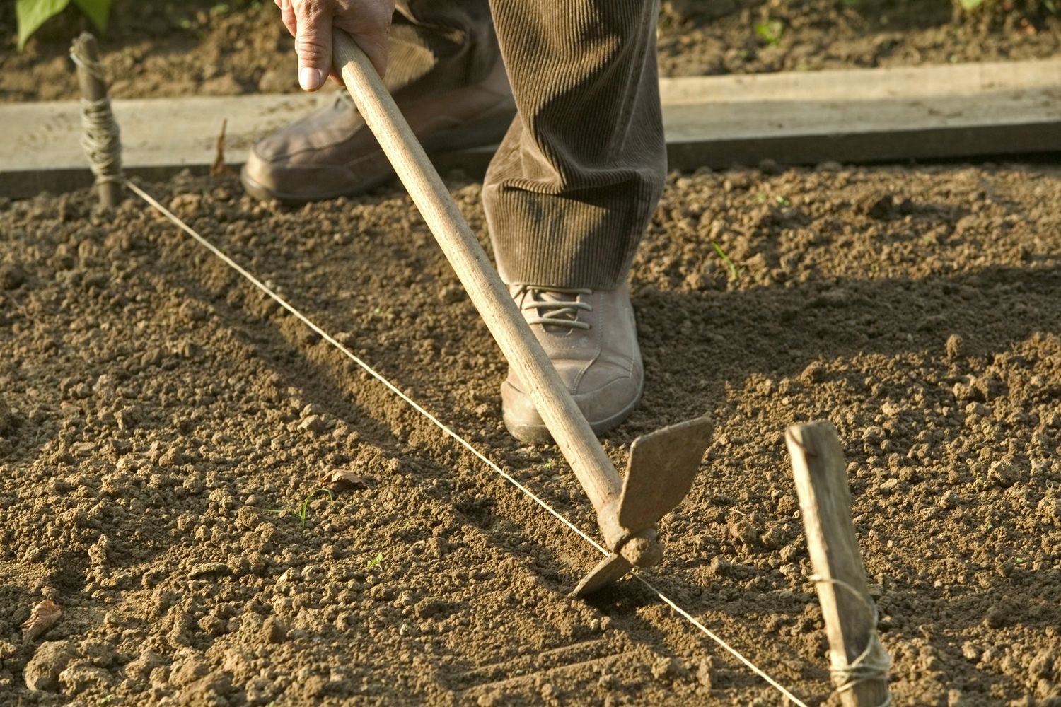 Un bracciante al lavoro