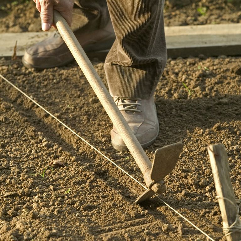 Un bracciante al lavoro