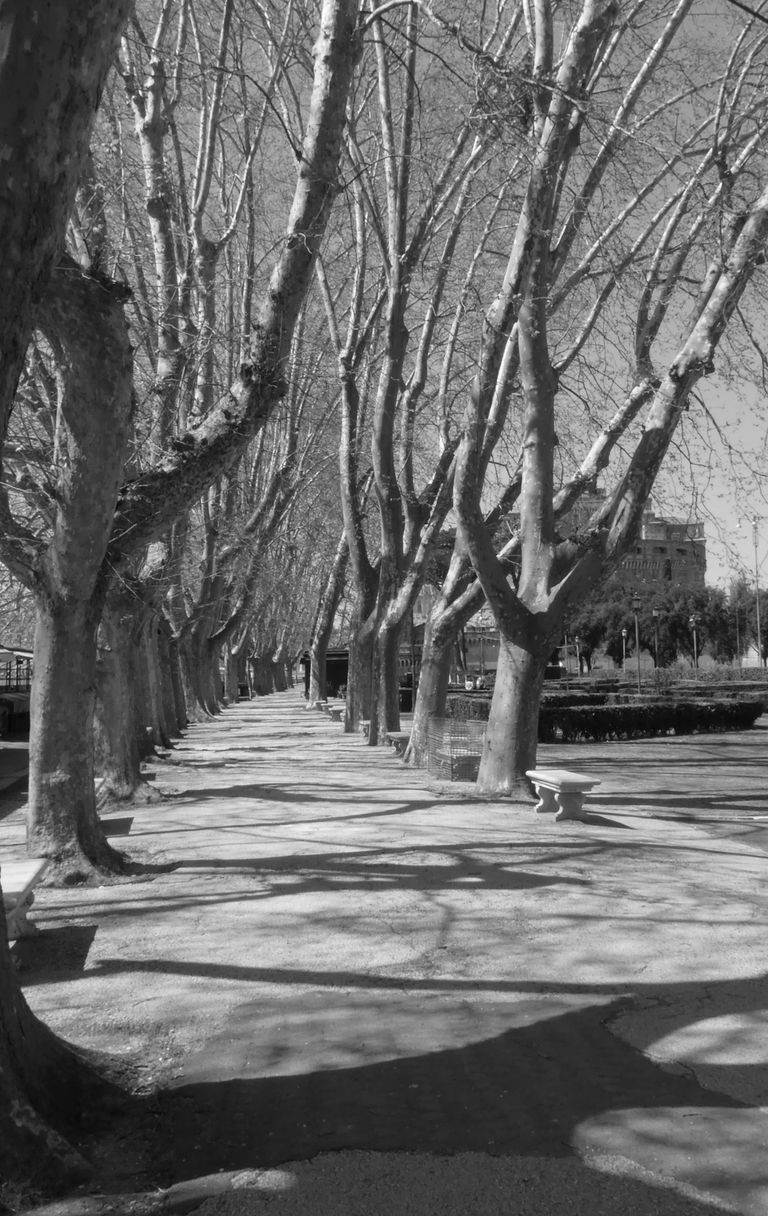 Lungotevere e ponte di Castel Sant'Angelo