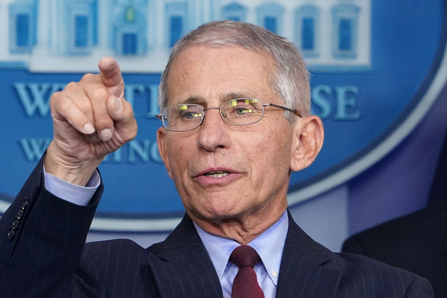 Anthony Fauci&nbsp;