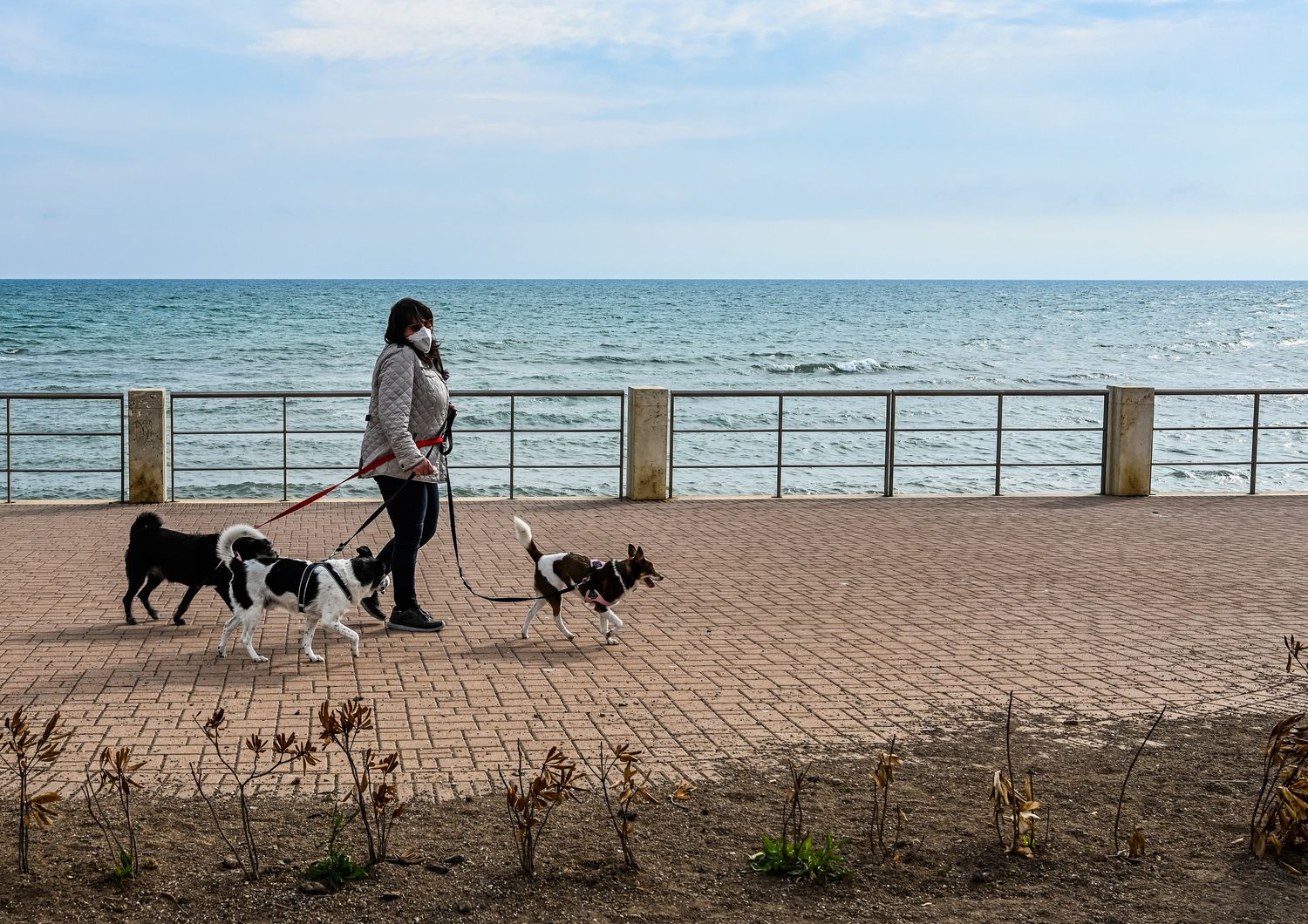 Coronavirus Rezza fase 2 calcio spiagge