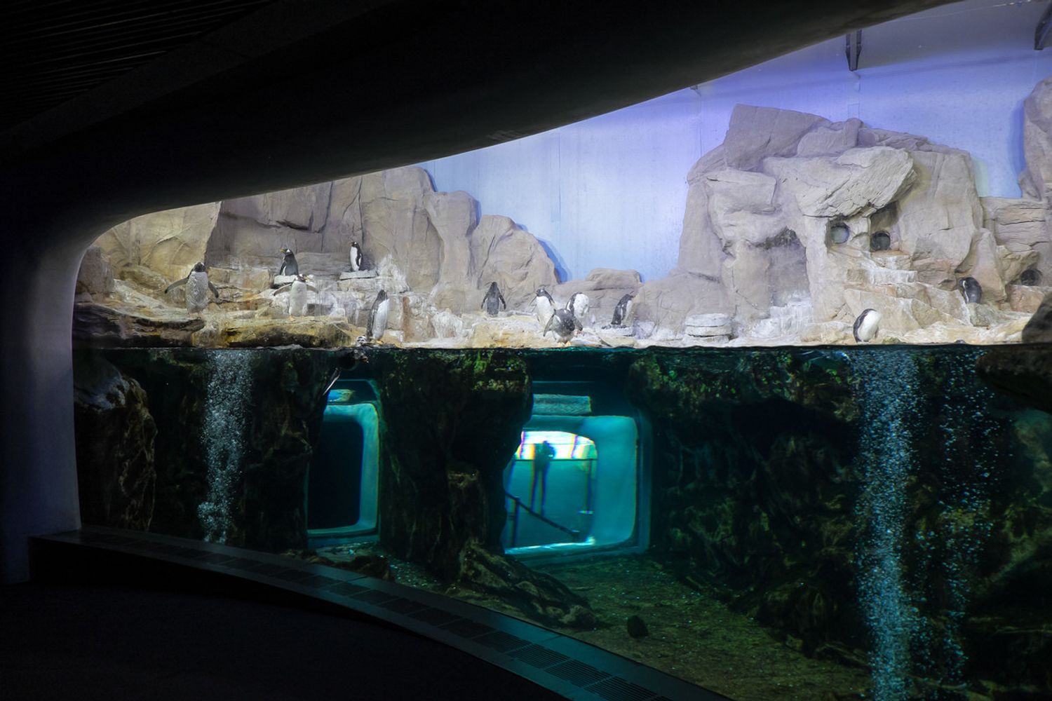 &nbsp;Acquario di Genova