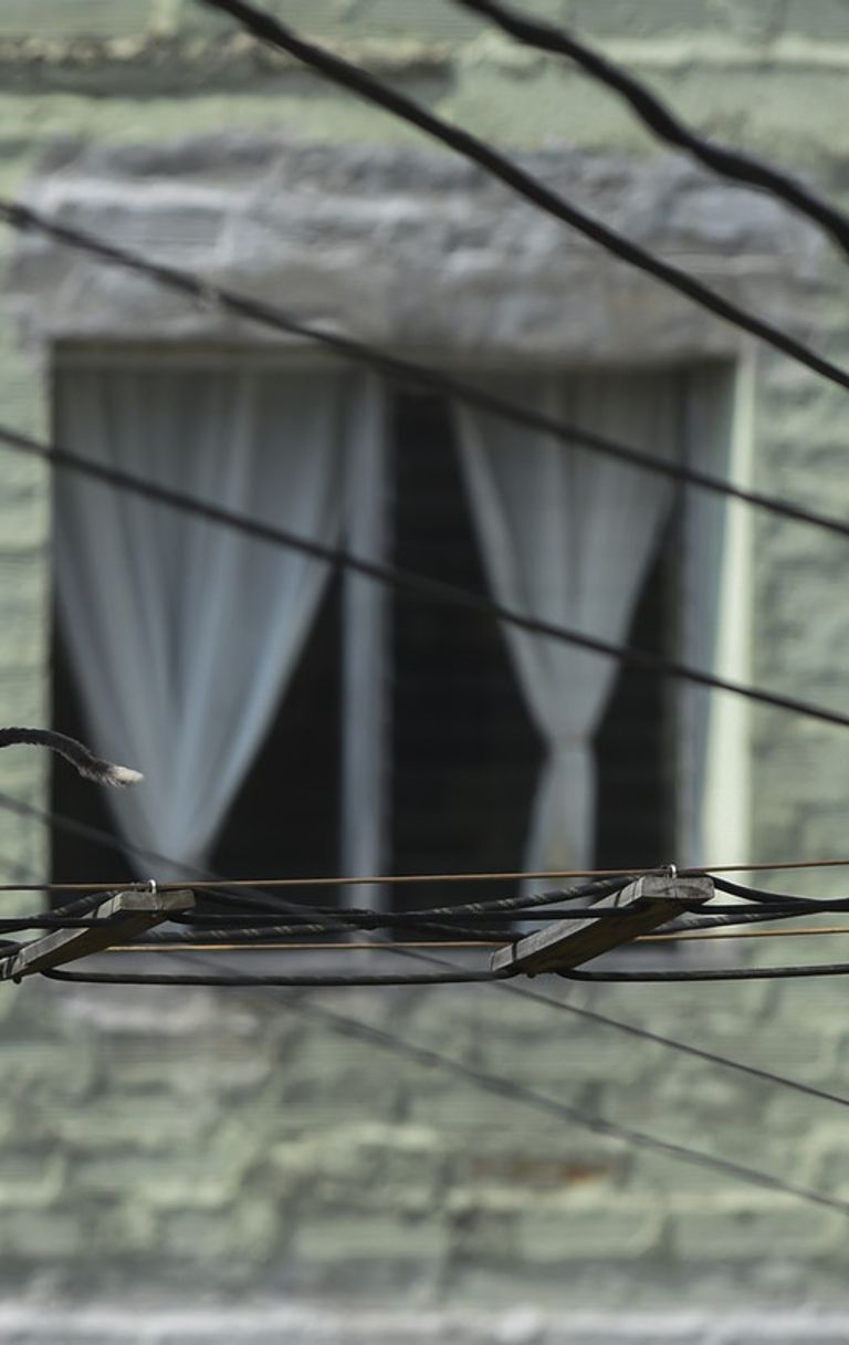 Scimmie Tamarin, Colombia