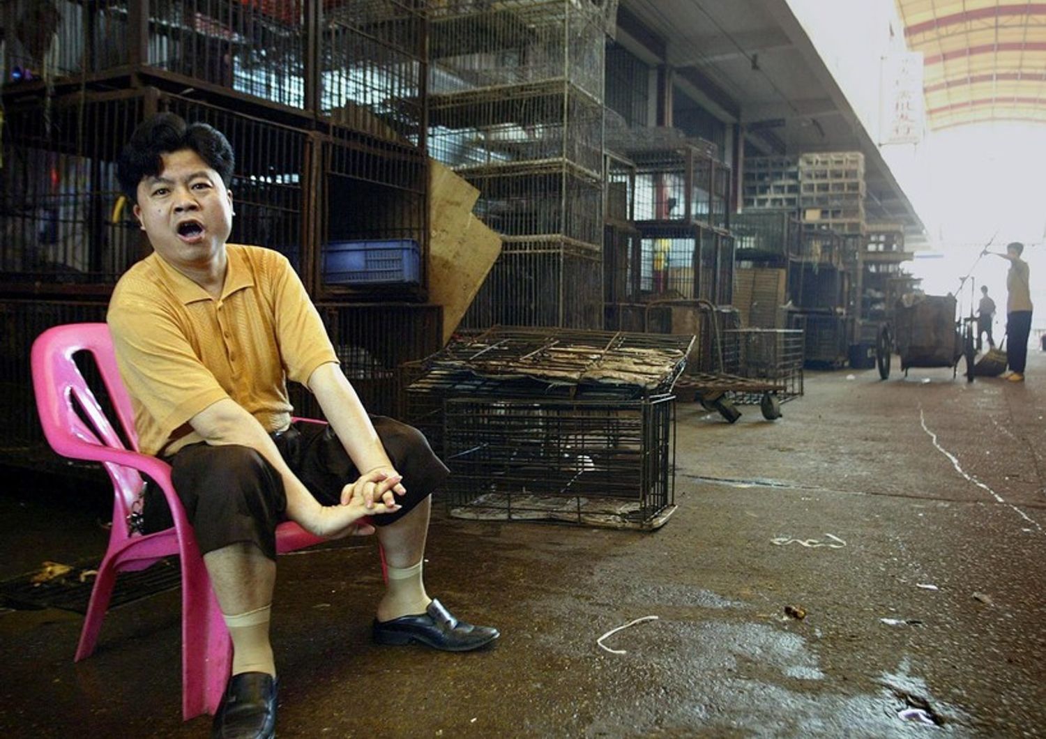 Un mercato di animali selvatici a Guangzhou, in Cina