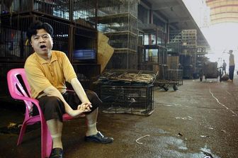 Un mercato di animali selvatici a Guangzhou, in Cina