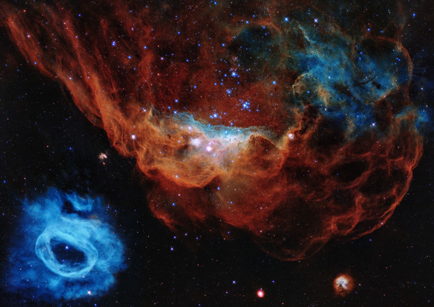 La nebulosa gigante&nbsp;NGC 2014 e la vicina NGC 2020&nbsp;osservate dal telescopio Hubble