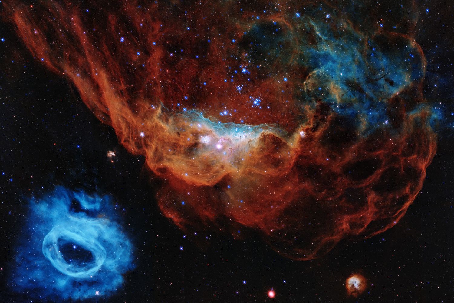 La nebulosa gigante&nbsp;NGC 2014 e la vicina NGC 2020&nbsp;osservate dal telescopio Hubble