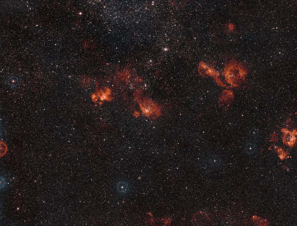 La nebulosa gigante&nbsp;NGC 2014 e la vicina NGC 2020&nbsp;osservate dal telescopio Hubble
