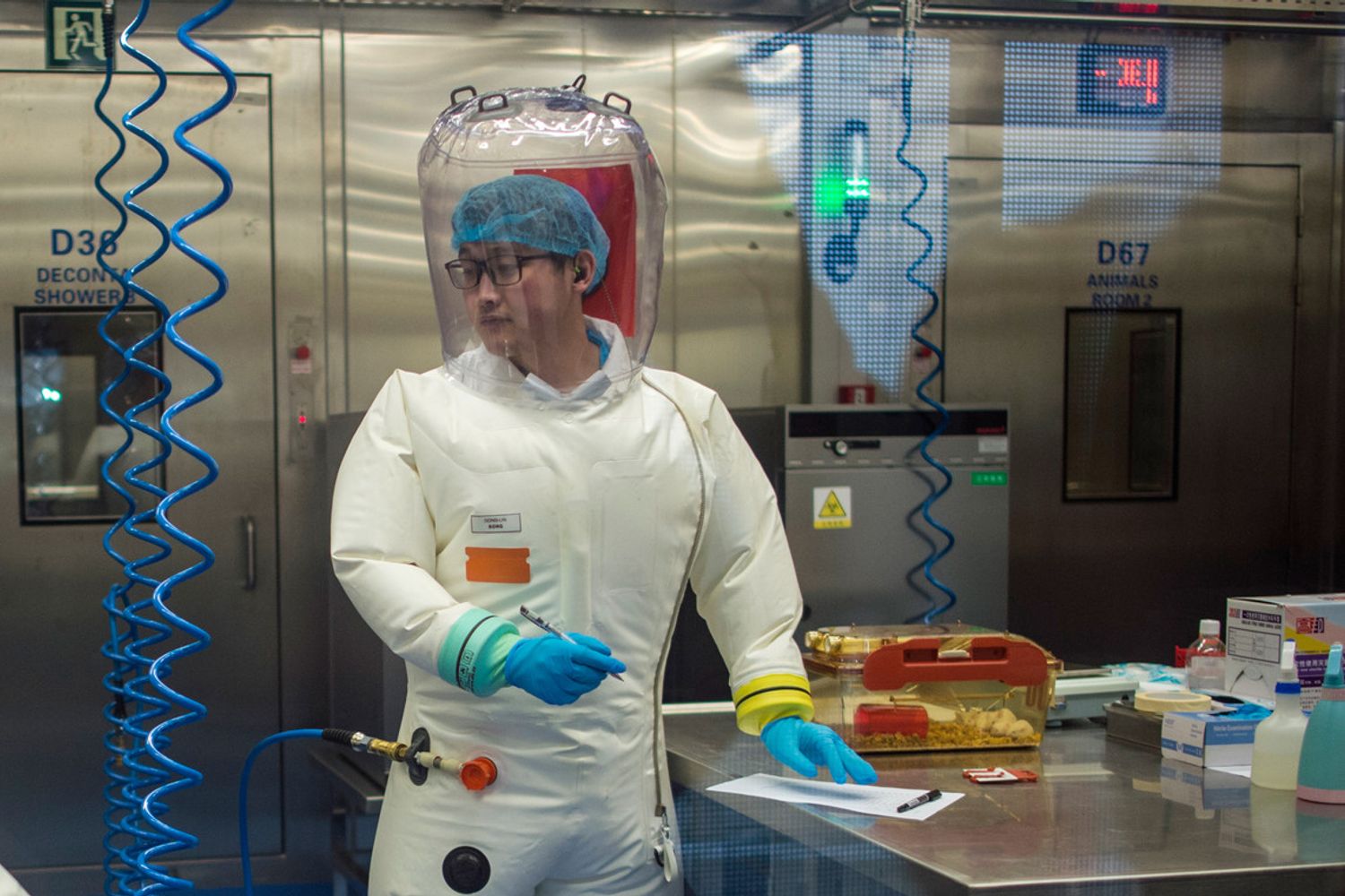 Un dipendente del laboratorio epidemiologico P4 a Wuhan