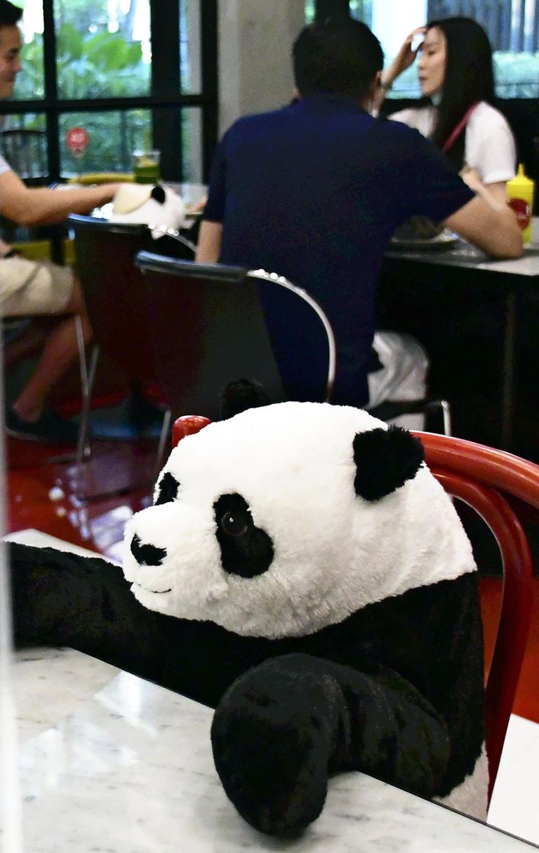 Peluche e resilienza