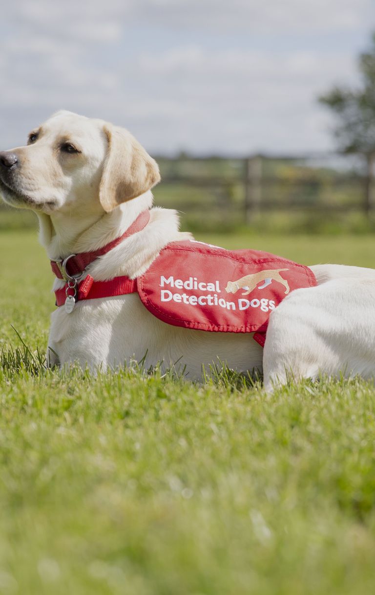Il bottino è un croccantino