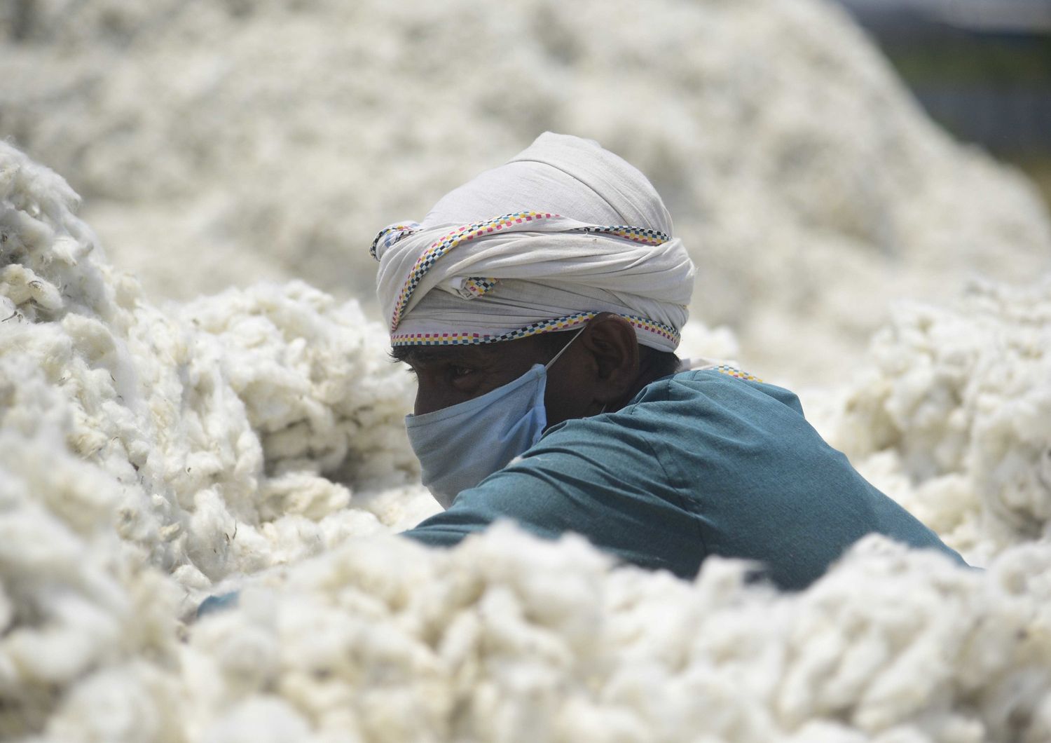 La lavorazione del cotone in India