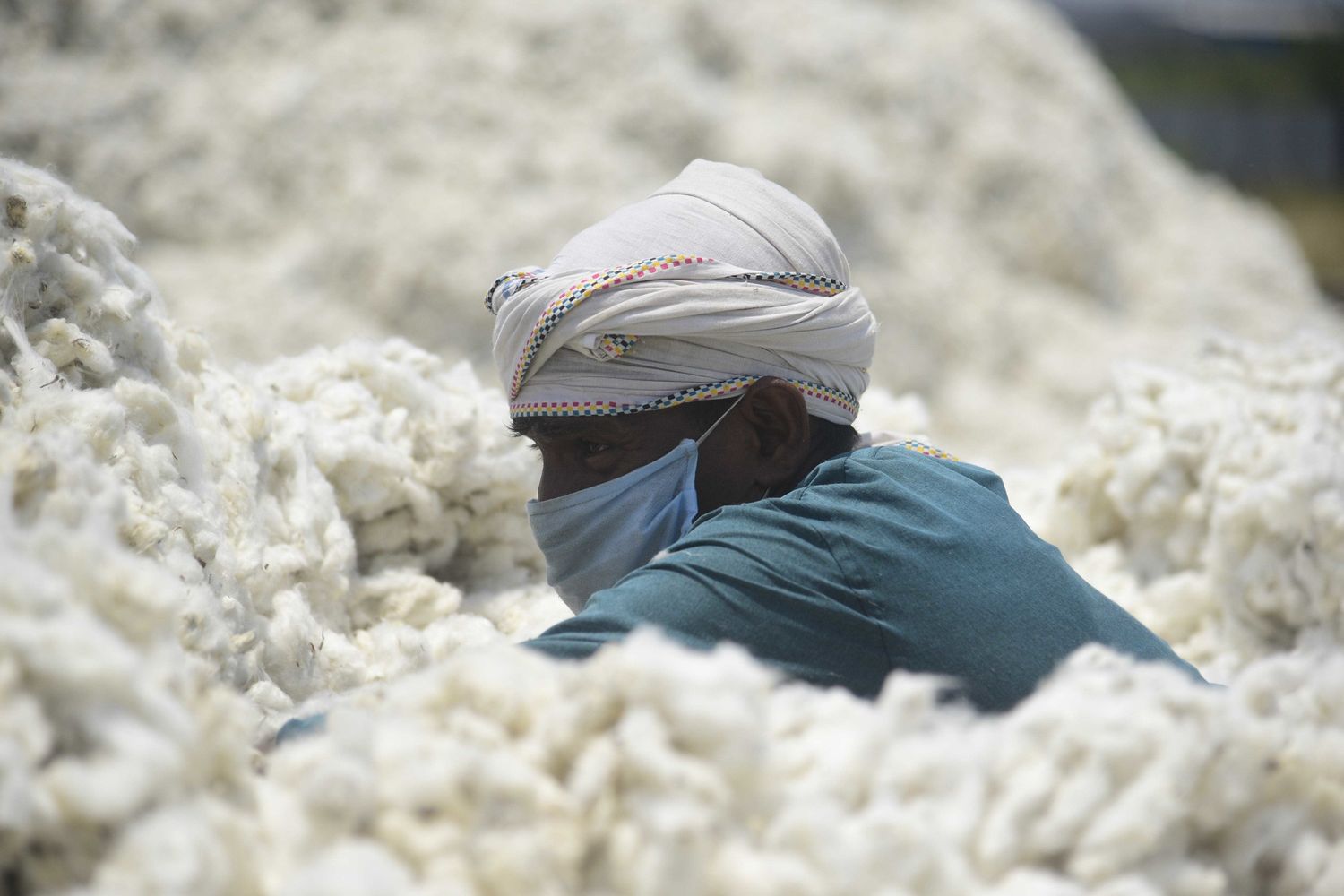 La lavorazione del cotone in India