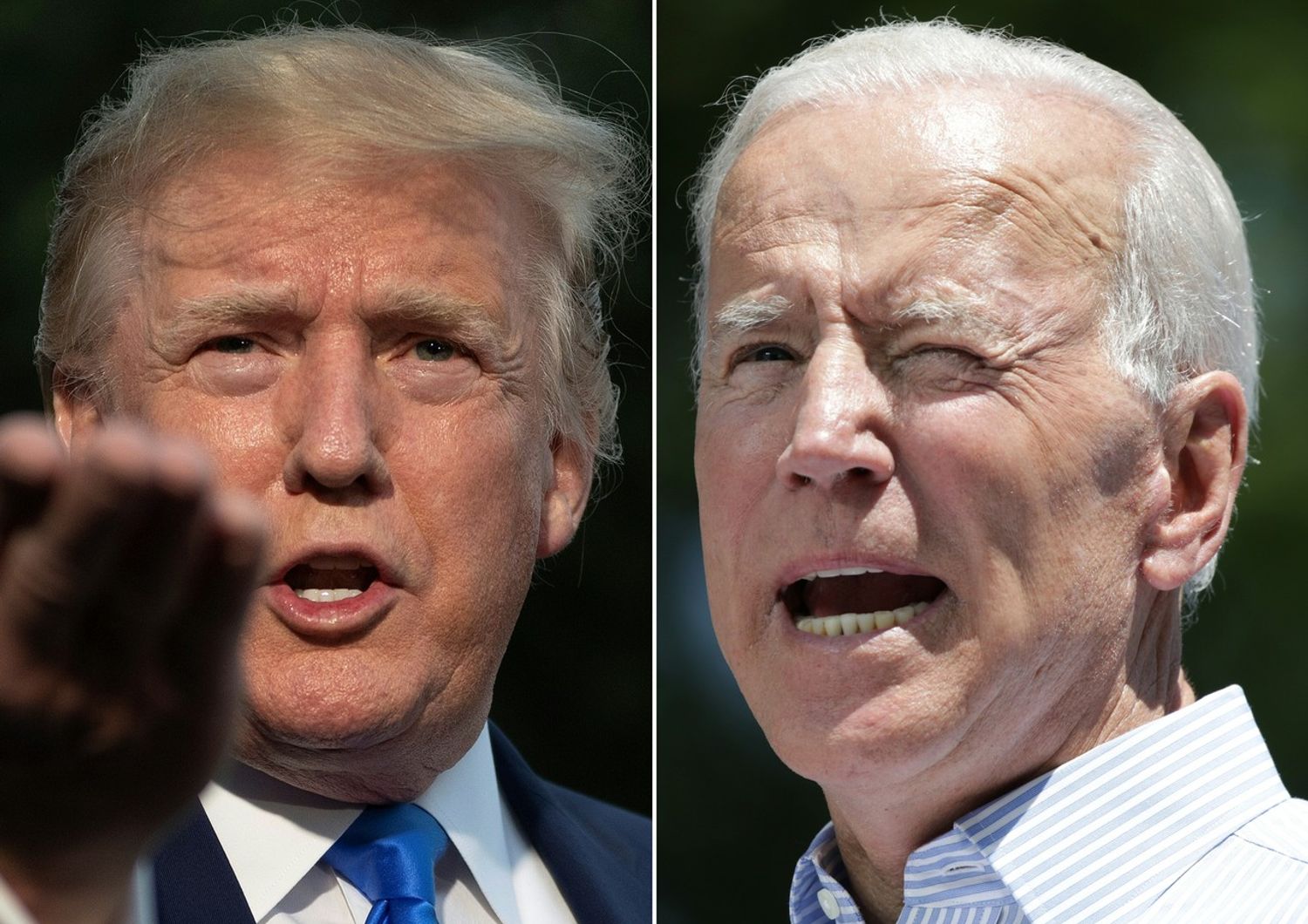 Donald Trump, Joe Biden