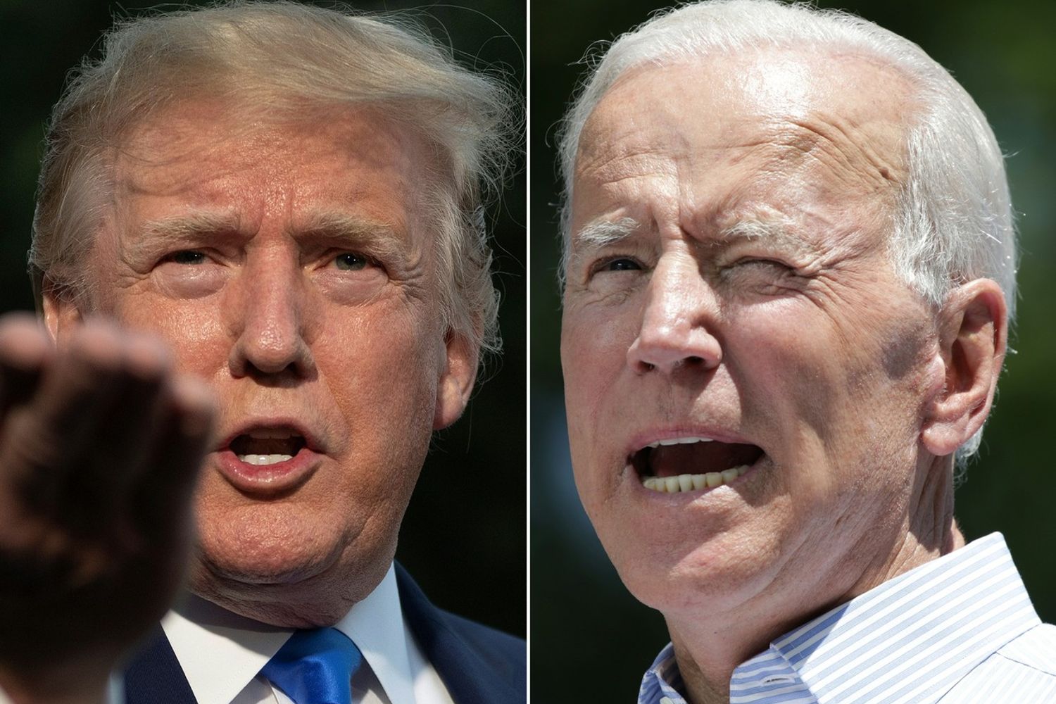Donald Trump, Joe Biden