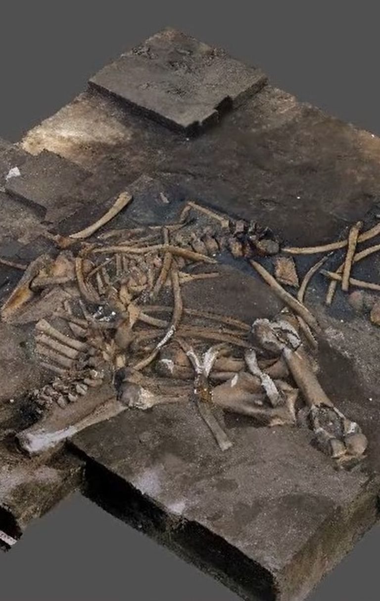 Uno scheletro antichissimo