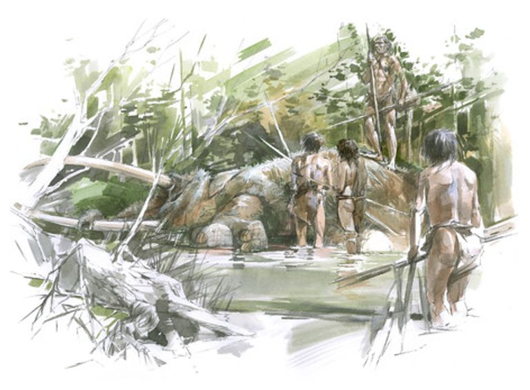 elefanti europa ritrovamento ossa foto