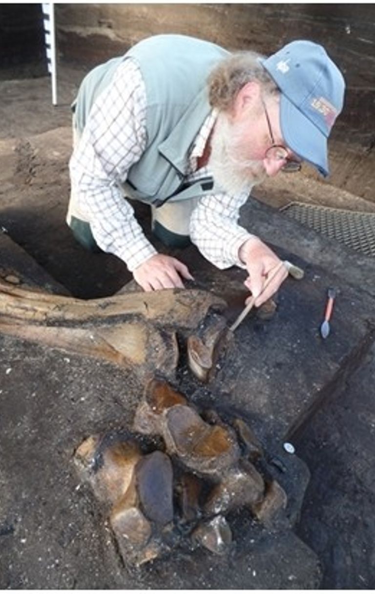 Scavi e (ri)scoperte