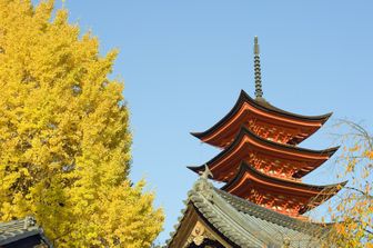 Un albero di gingko davanti a una pagoda di Hiroshima