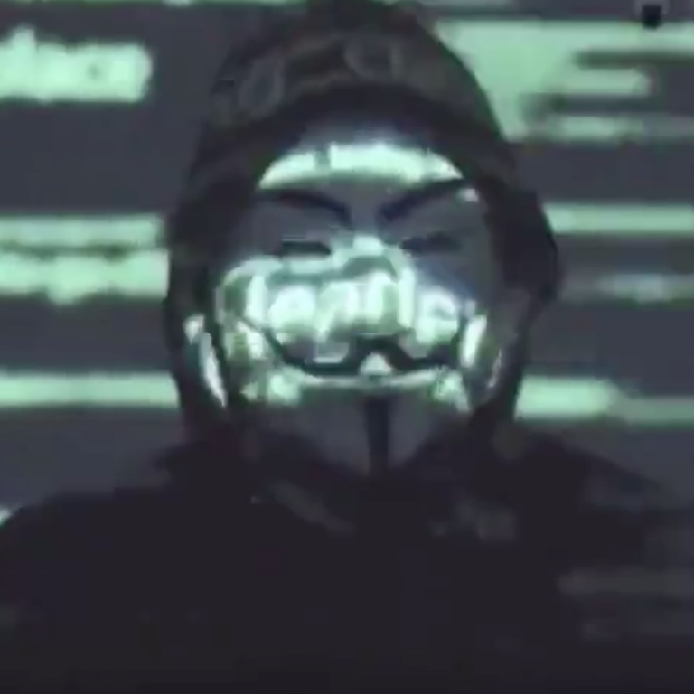 Anonymous hacker