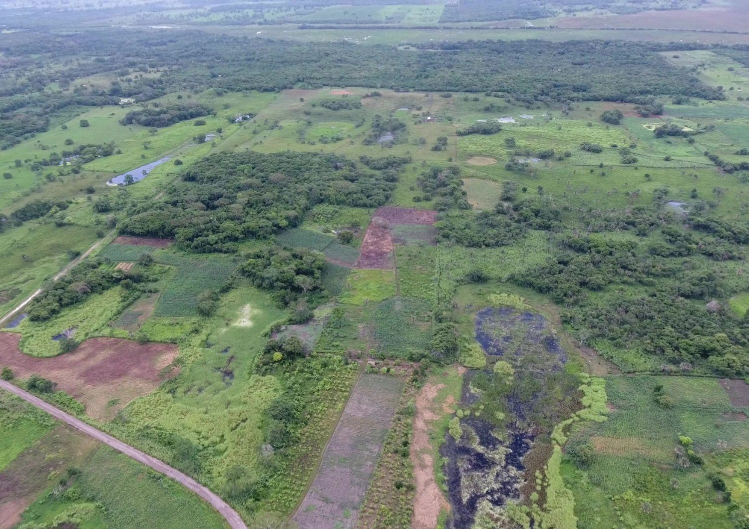 scoperta messico antica struttura maya