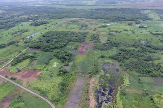 scoperta messico antica struttura maya