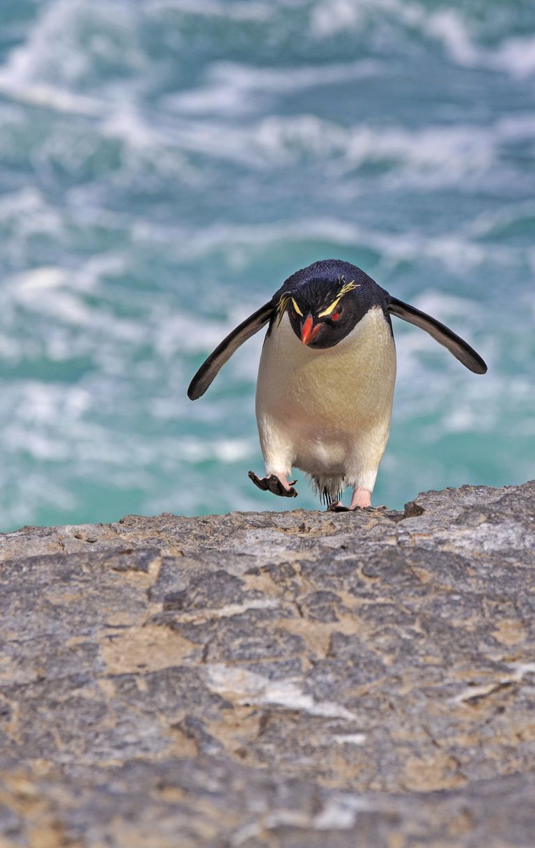 Emissioni e previsioni