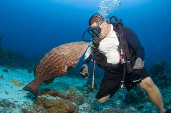 ANTONIO BUSIELLO / ROBERTHARDING VIA AFP