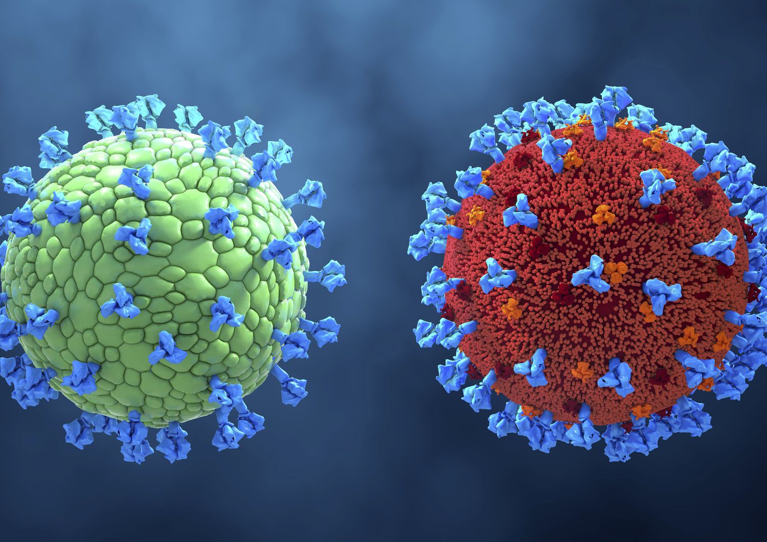 Coronavirus