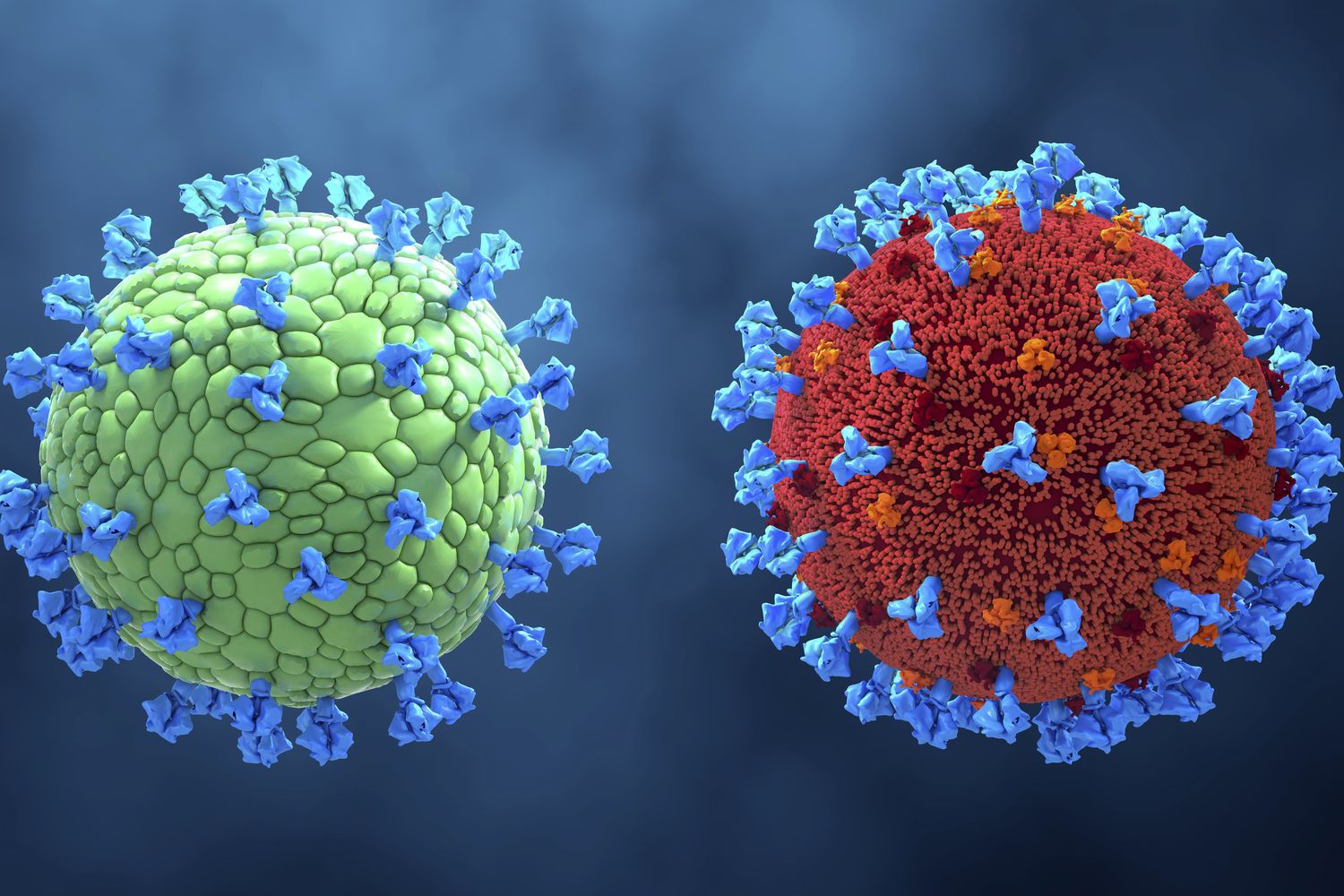 Coronavirus