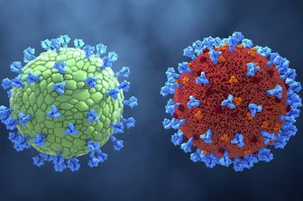 Coronavirus