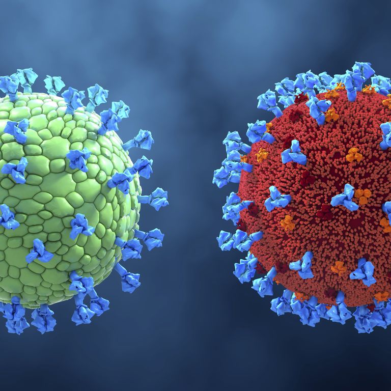 Coronavirus