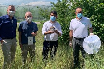 &nbsp;L'assessore Mammi con i tecnici del servizio fitosanitario modenese a Campogalliano&nbsp;