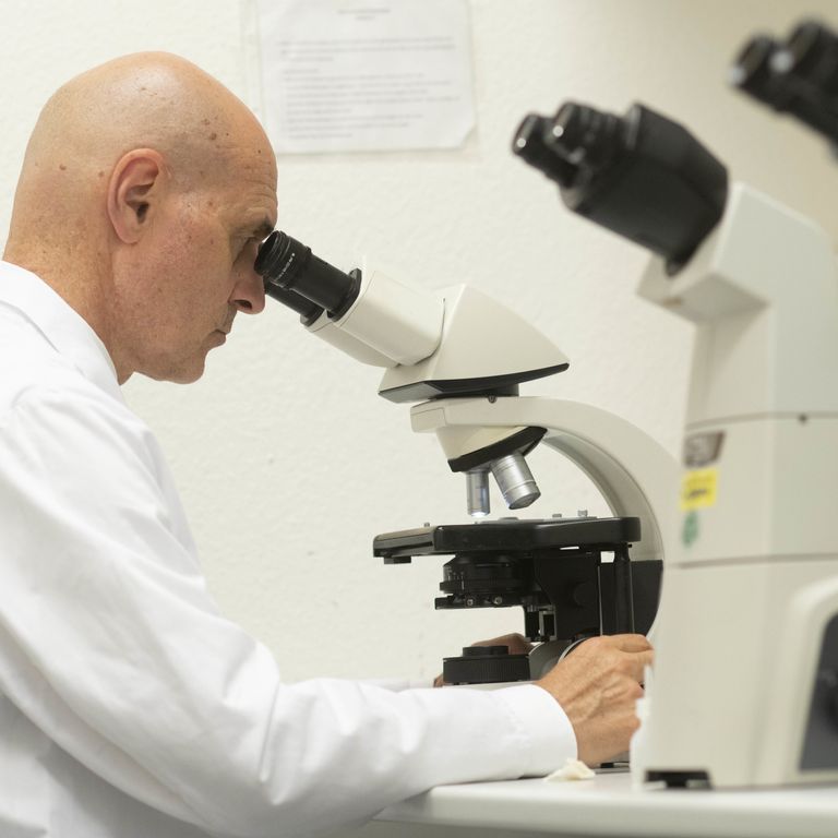 Analisi in laboratorio