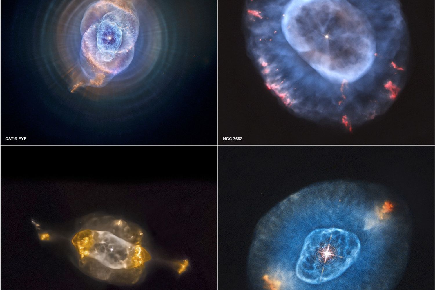 Quattro splendide immagini di nebulose planetarie che fotografano le ultime fasi di vita delle stelle di piccola massa