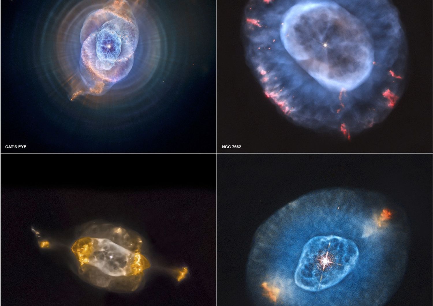 Quattro splendide immagini di nebulose planetarie che fotografano le ultime fasi di vita delle stelle di piccola massa