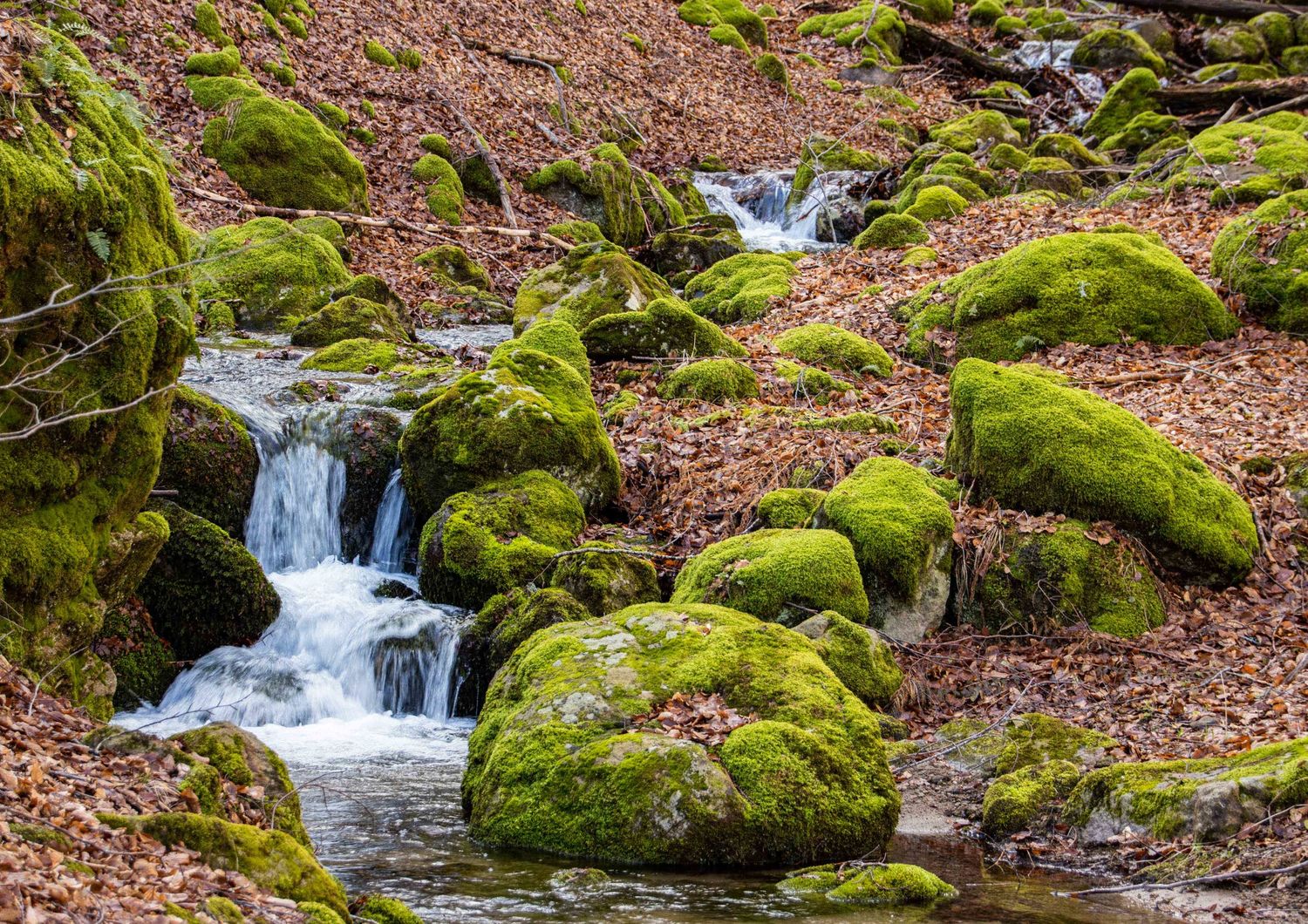 berremo tutti acqua di montagna