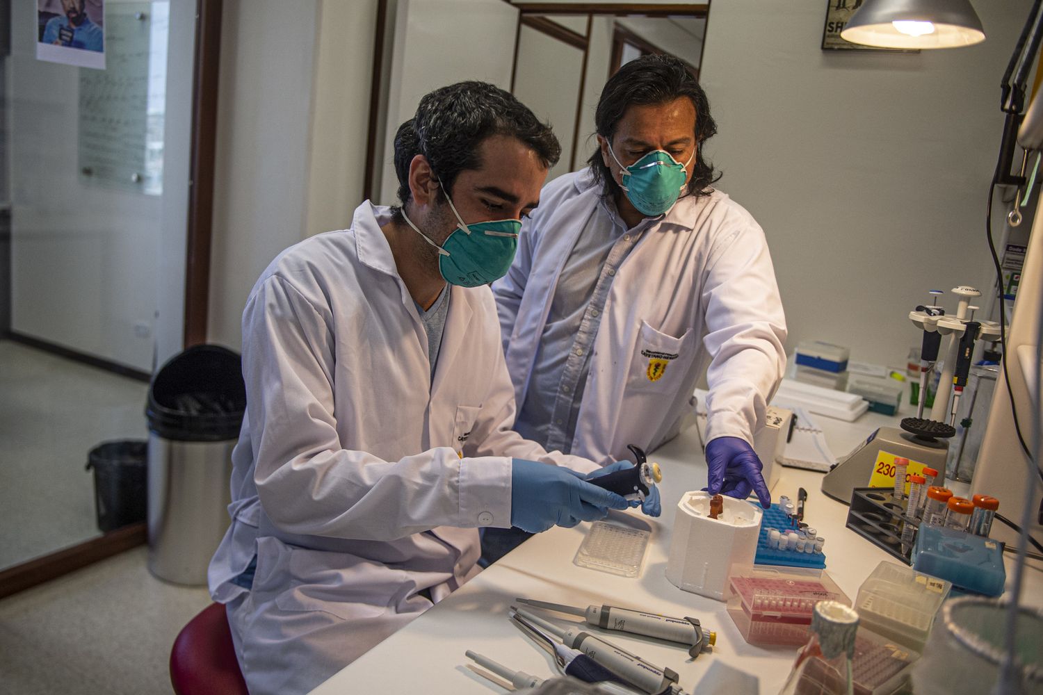 Coronavirus, analisi in laboratorio