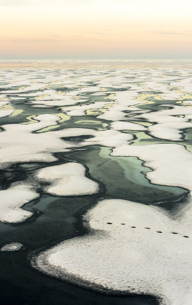 Una caccia difficile