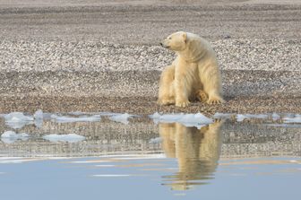 Svalbard