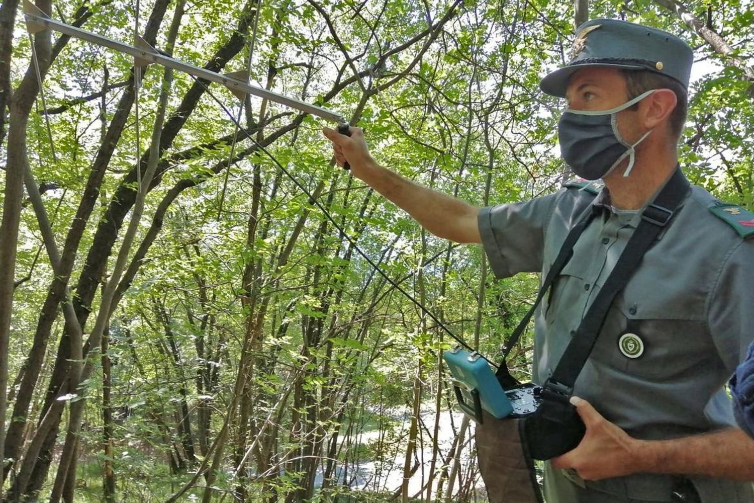 Rilevamenti dopo la fuga dell'orso M49