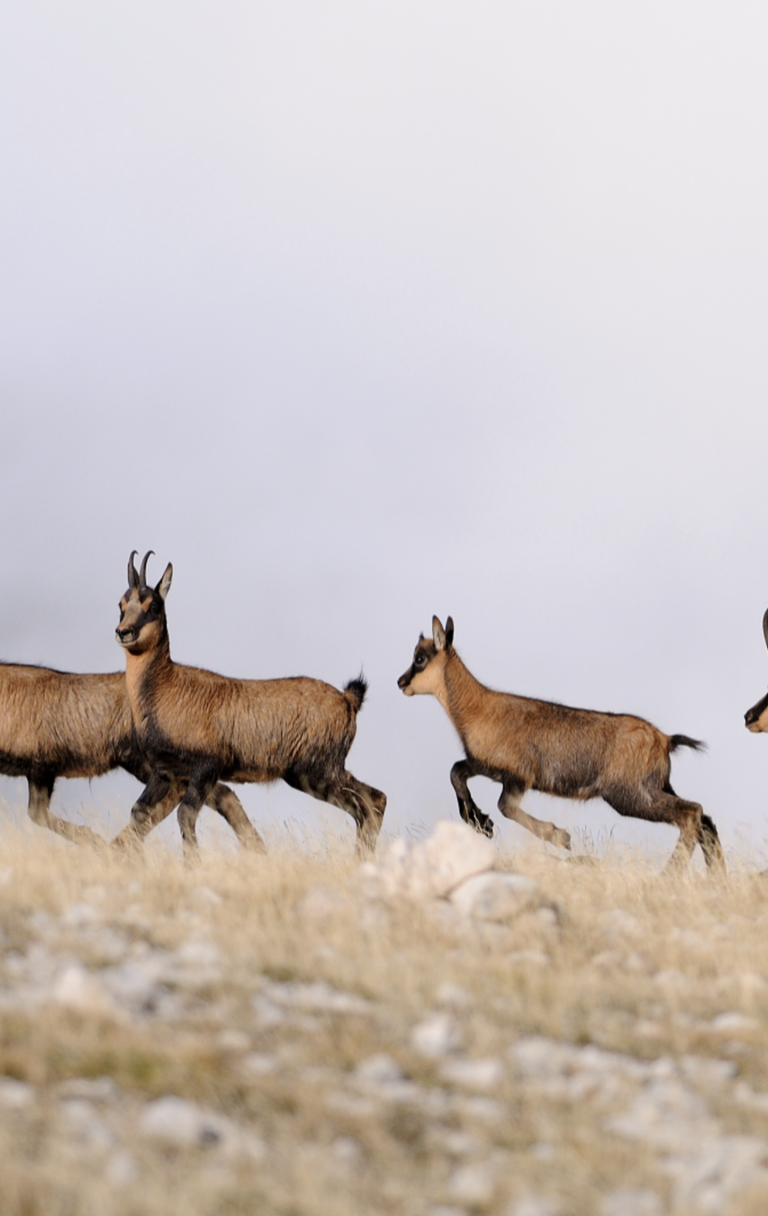 Foto di Antonio Antonucci