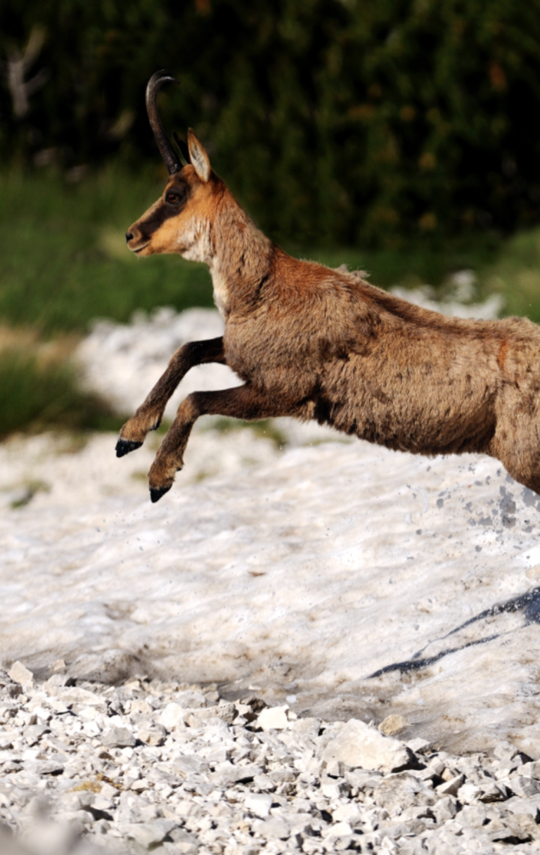 Foto di Antonio Antonucci