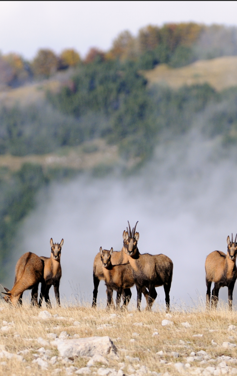 Foto di Antonio Antonucci