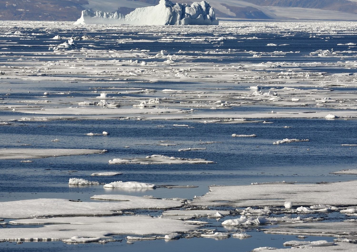 L'Isola di Ellesmere, nell'Artico canadese, dov'&egrave; collassata l'enorme piattaforma di ghiaccio Milne