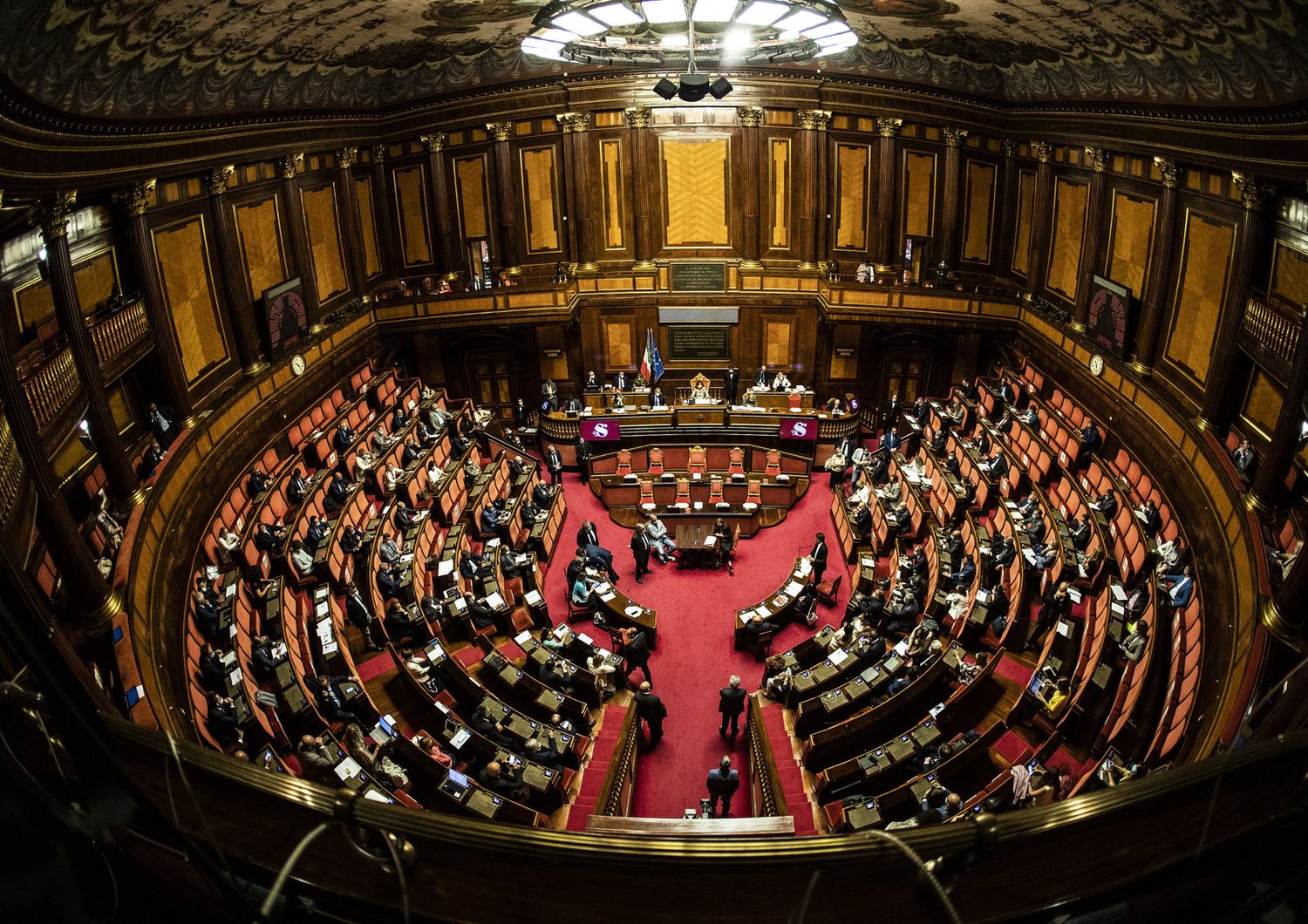 Senato